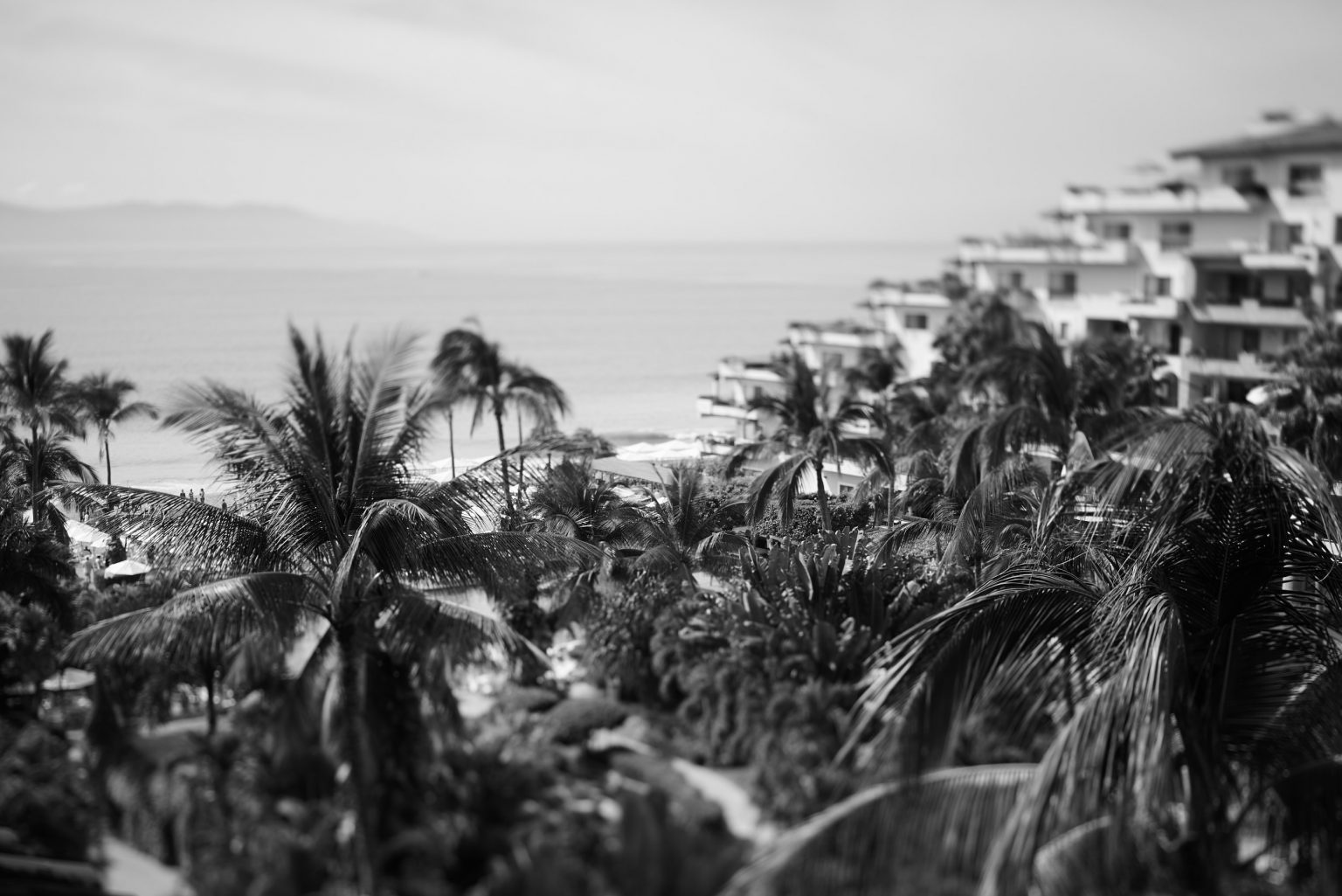 Carina & Ricardo — wedding at Grand Velas Vallarta — photo 1